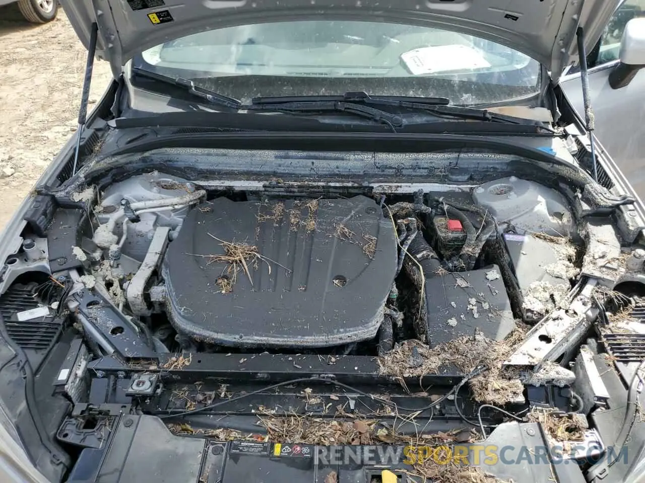 11 Photograph of a damaged car YV4L12RV0P1239814 VOLVO XC60 CORE 2023