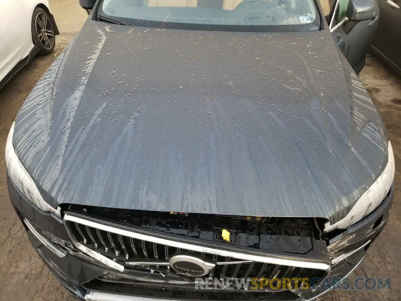 12 Photograph of a damaged car YV4H60DLXN1051168 VOLVO XC60 T8 RE 2022