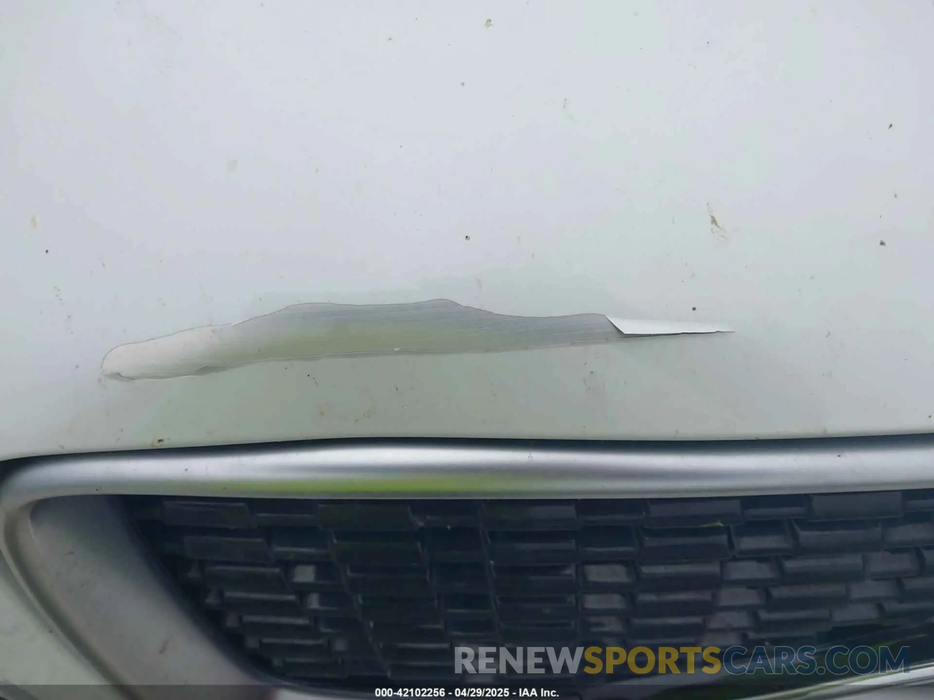 19 Photograph of a damaged car YV4102CM6K1509891 VOLVO XC90 2019